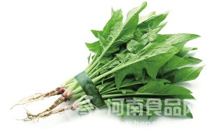 綠色蔬菜克制黃曲霉素