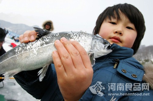 韓國冰上捕魚節