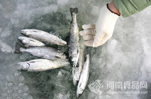 韓國萬人捕魚節