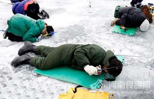 韓國萬人捕魚節