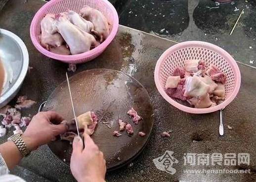 老鼠變乳鴿過程