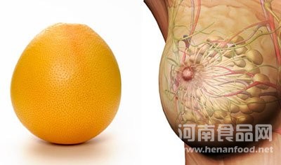 柑橘