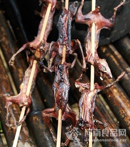 鼠肉