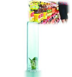 我們吃的哪些含“轉基因”