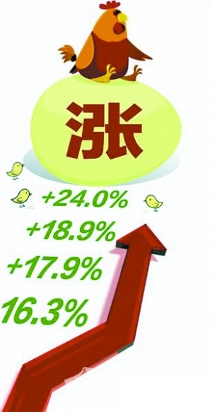 雞蛋創新高