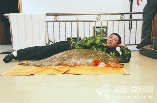 資陽釣友一天釣兩條巨型鯰魚