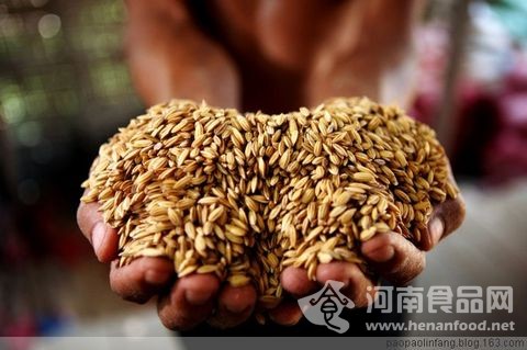 糧食產量