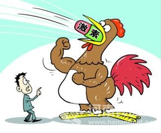 誰催肥了病態速生雞