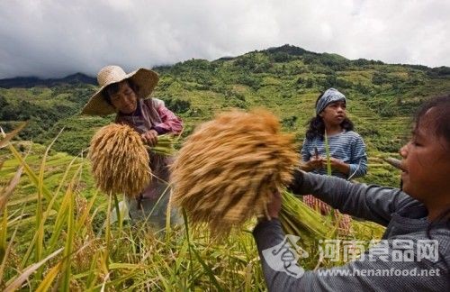 我國種糧