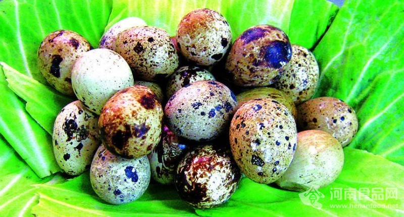 安陽市民買到霉變鵪鶉蛋