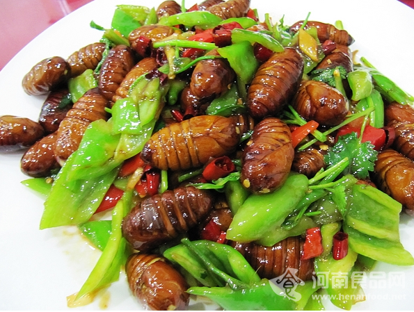 蠶蛹吃出線蟲