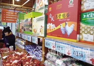 概念雞蛋