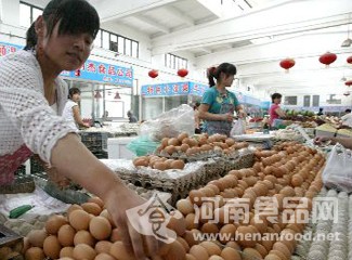 全國雞蛋價格