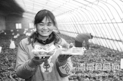 湯陰成為河南有機食品第一縣