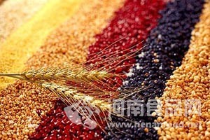 養生雜糧粉