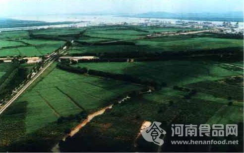 國際香料集團最大新工廠落戶廣州