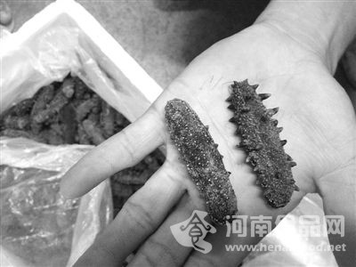 海參產業潛規則:灌糖增重,一斤海參半斤糖