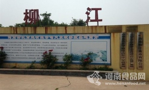 河南“天價蛋”被曝飼料濫加添加劑 涉事公司稱報道失實