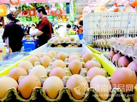 全國雞蛋價格漲幅已超20% 多數地區已漲至每斤5元以上