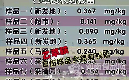  曝草莓種植普遍使用違禁農藥 長期食用或致癌