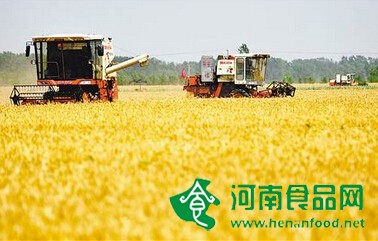 糧食豐收給咱百姓帶來哪些“利好”？