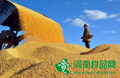 糧價調控現歷史性轉向 溫氏與中儲糧獲益最大